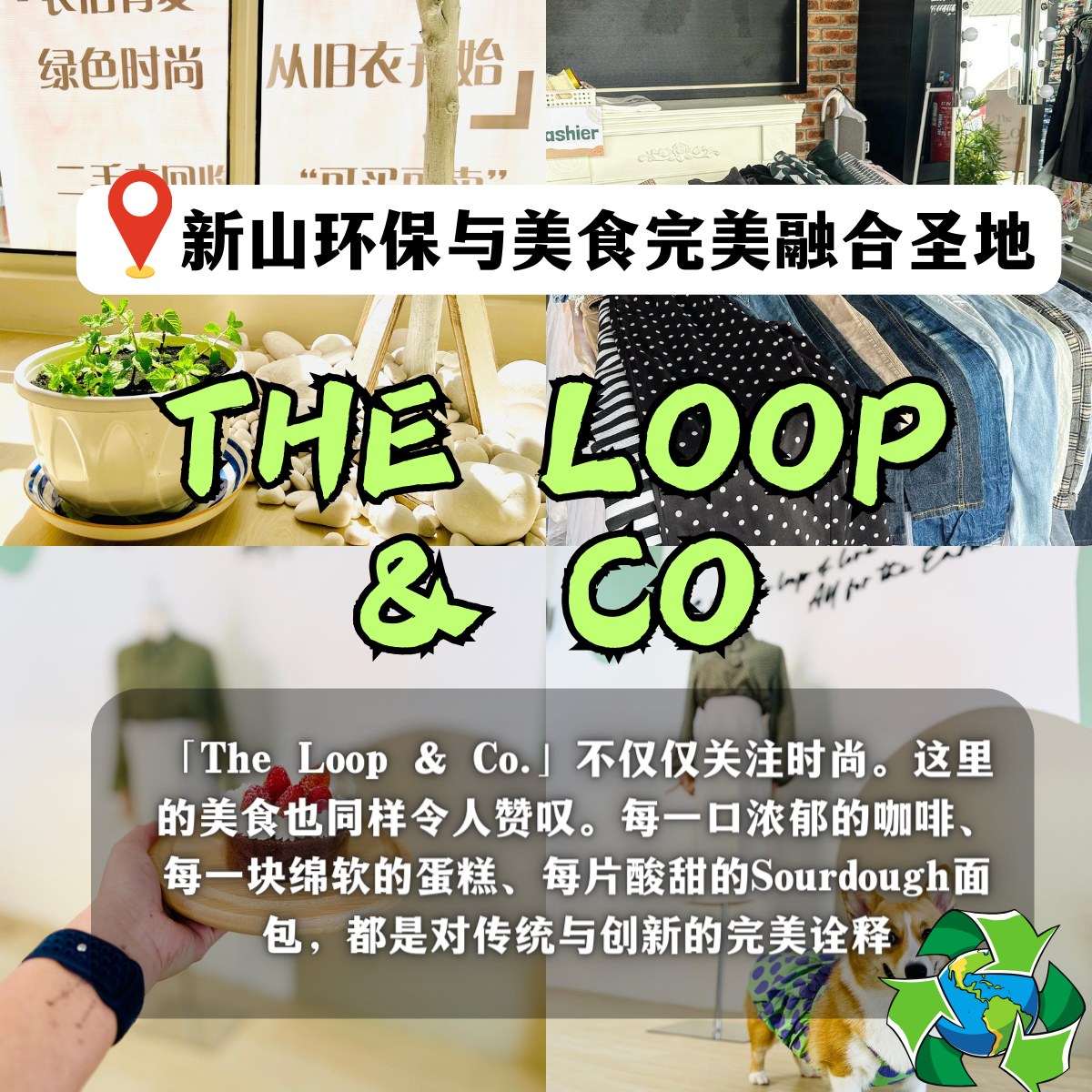 The Loop & Co.