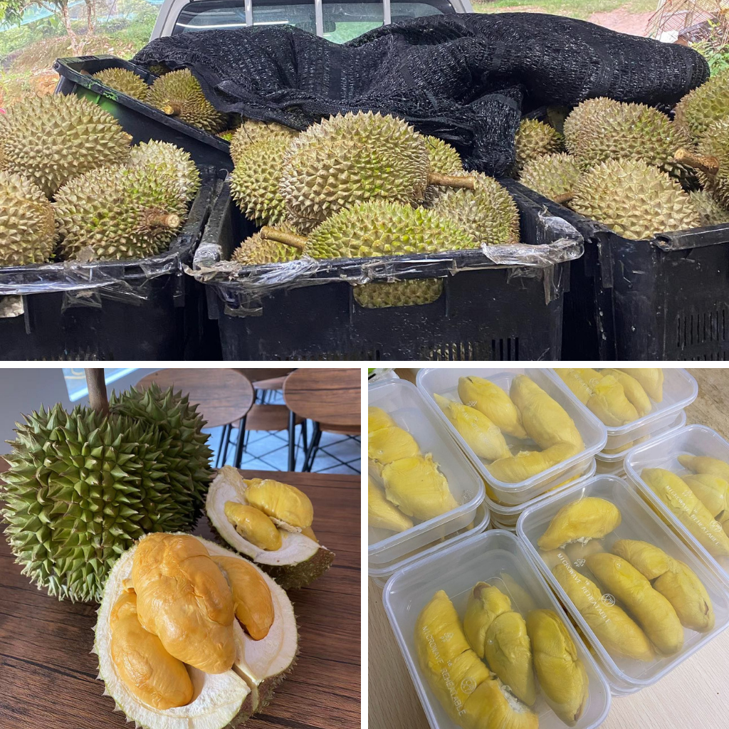 全马最划算榴莲